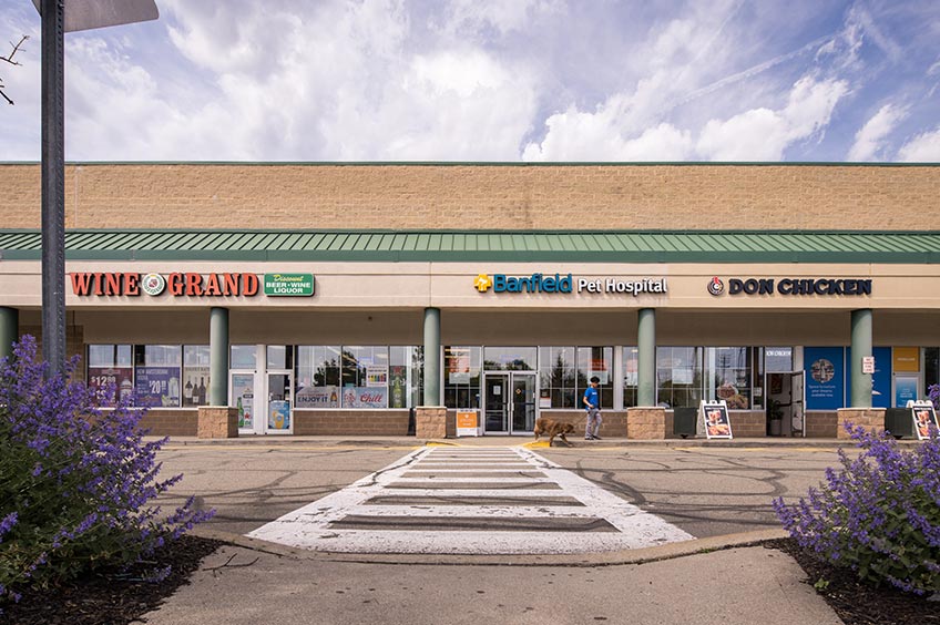 Image of Carlstadt Commons shopping center with various shops and parking spaces.