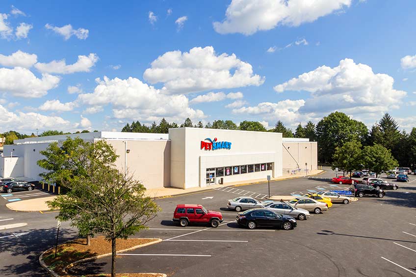 PetSmart storefront at Springfield shopping center and parking spaces.