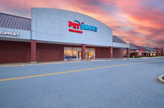 pet smart at wyomissing