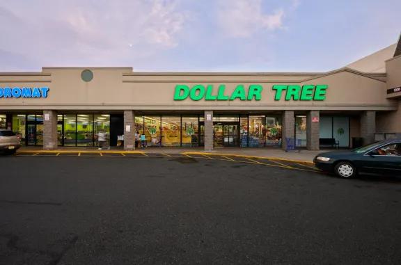 dollar tree at forest commons