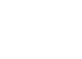 Stop and Shop logo