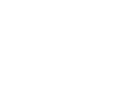 The Home Depot Logo